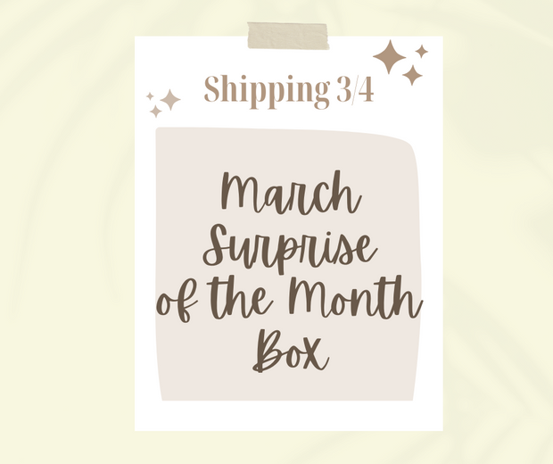 March Clean Haven Naturals Surprise Monthly Subscription Box