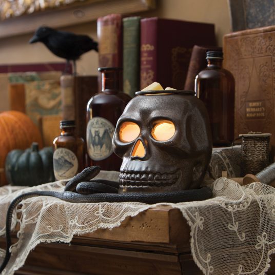 Skull Illumination Warmer